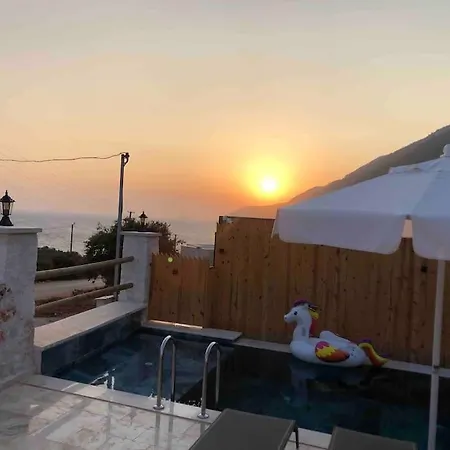 Villa Merkezde Oezel Havuzlu Tas *