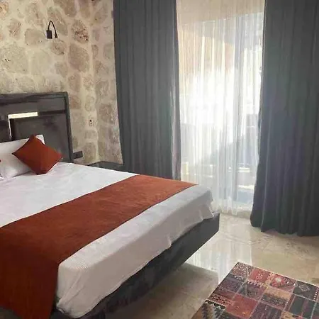 Villa Merkezde Oezel Havuzlu Tas Kas
