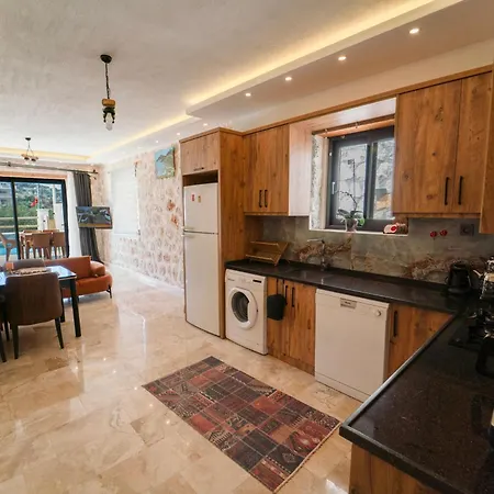 Villa Merkezde Oezel Havuzlu Tas